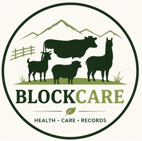 BlockCare